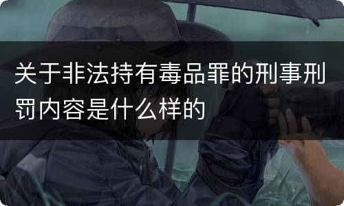 关于非法持有毒品罪的刑事刑罚内容是什么样的