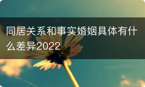 同居关系和事实婚姻具体有什么差异2022
