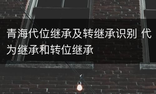 青海代位继承及转继承识别 代为继承和转位继承