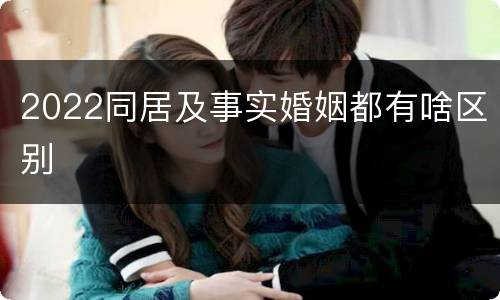 2022同居及事实婚姻都有啥区别