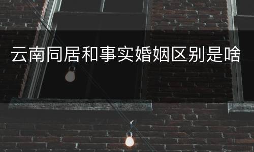 云南同居和事实婚姻区别是啥