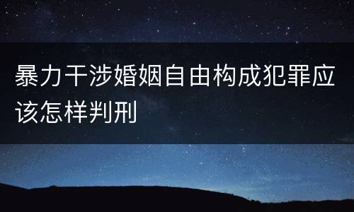 暴力干涉婚姻自由构成犯罪应该怎样判刑