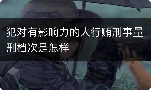 犯对有影响力的人行贿刑事量刑档次是怎样