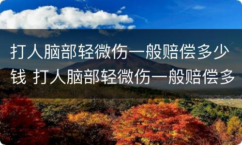 打人脑部轻微伤一般赔偿多少钱 打人脑部轻微伤一般赔偿多少钱啊