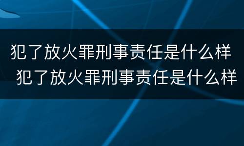 犯了放火罪刑事责任是什么样 犯了放火罪刑事责任是什么样的呢