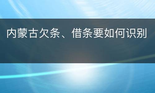 内蒙古欠条、借条要如何识别