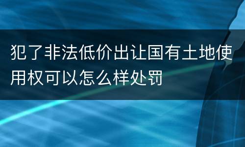 犯了非法低价出让国有土地使用权可以怎么样处罚
