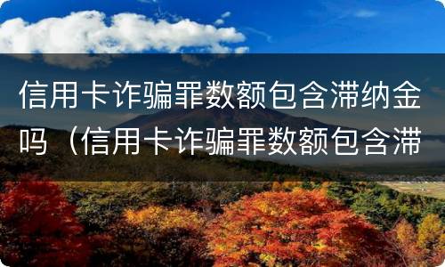 信用卡诈骗罪数额包含滞纳金吗（信用卡诈骗罪数额包含滞纳金吗）