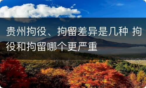 贵州拘役、拘留差异是几种 拘役和拘留哪个更严重