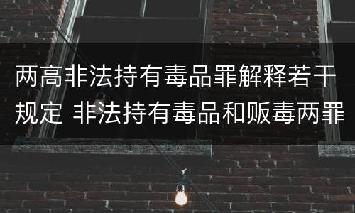 两高非法持有毒品罪解释若干规定 非法持有毒品和贩毒两罪并处
