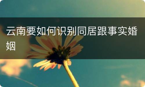 云南要如何识别同居跟事实婚姻