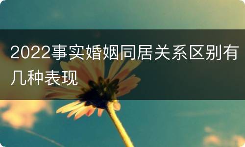 2022事实婚姻同居关系区别有几种表现