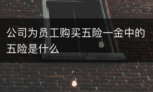 公司为员工购买五险一金中的五险是什么