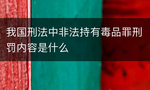 我国刑法中非法持有毒品罪刑罚内容是什么