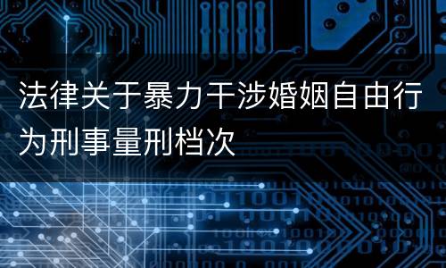 法律关于暴力干涉婚姻自由行为刑事量刑档次