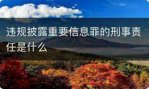 违规披露重要信息罪的刑事责任是什么