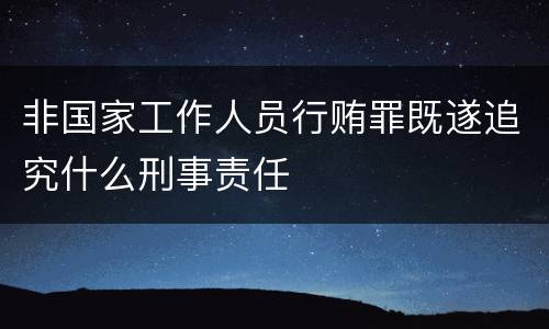 非国家工作人员行贿罪既遂追究什么刑事责任