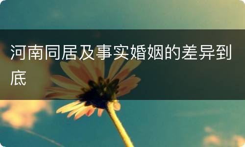 河南同居及事实婚姻的差异到底