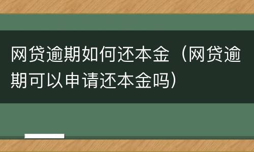 网贷逾期如何还本金（网贷逾期可以申请还本金吗）