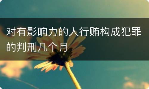 对有影响力的人行贿构成犯罪的判刑几个月