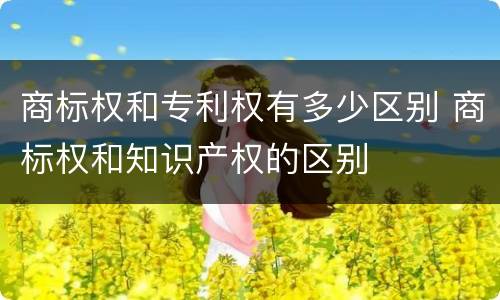 商标权和专利权有多少区别 商标权和知识产权的区别