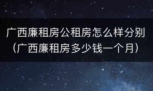 广西廉租房公租房怎么样分别（广西廉租房多少钱一个月）