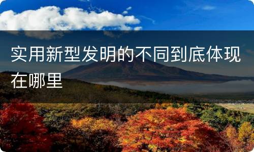 实用新型发明的不同到底体现在哪里