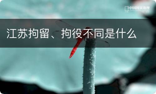 江苏拘留、拘役不同是什么