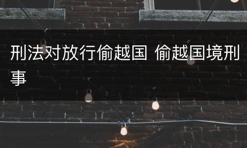 刑法对放行偷越国 偷越国境刑事