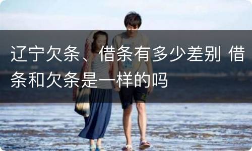 辽宁欠条、借条有多少差别 借条和欠条是一样的吗