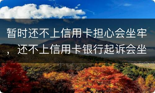 暂时还不上信用卡担心会坐牢，还不上信用卡银行起诉会坐牢吗