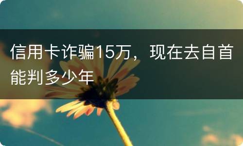信用卡诈骗15万,现在去自首能判多少年 信用卡诈骗15万,现在去自首能判多少年