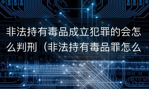非法持有毒品成立犯罪的会怎么判刑（非法持有毒品罪怎么量刑）