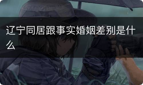 辽宁同居跟事实婚姻差别是什么