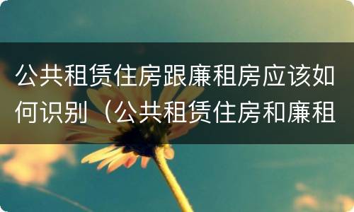 公共租赁住房跟廉租房应该如何识别（公共租赁住房和廉租房的联系）