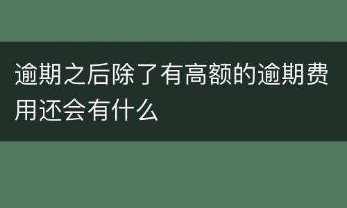 逾期之后除了有高额的逾期费用还会有什么