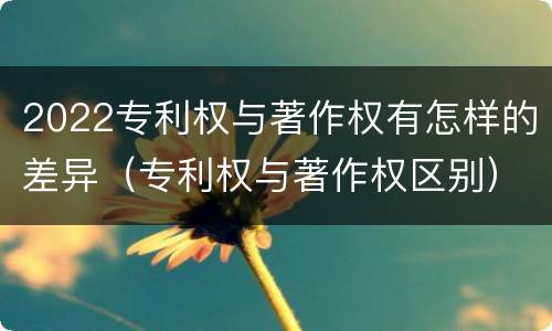 2022专利权与著作权有怎样的差异（专利权与著作权区别）