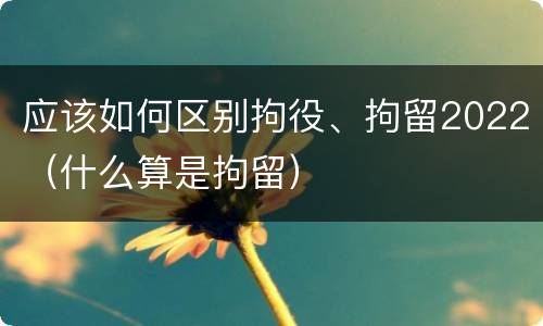 应该如何区别拘役、拘留2022(什么算是拘留)