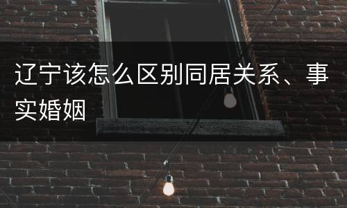 辽宁该怎么区别同居关系、事实婚姻