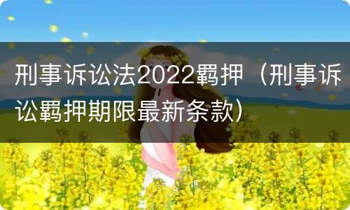刑事诉讼法2022羁押（刑事诉讼羁押期限最新条款）