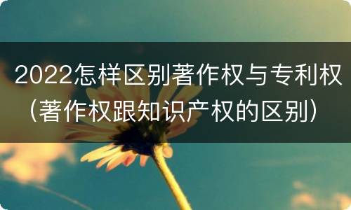2022怎样区别著作权与专利权（著作权跟知识产权的区别）