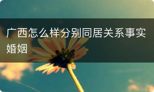 广西怎么样分别同居关系事实婚姻