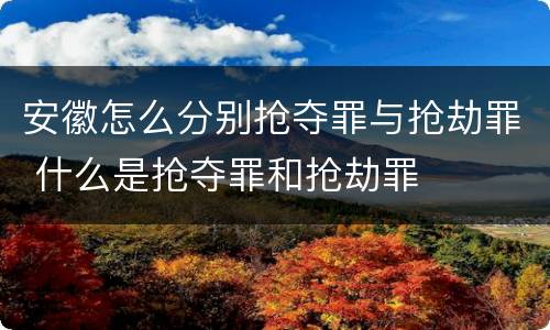 安徽怎么分别抢夺罪与抢劫罪 什么是抢夺罪和抢劫罪