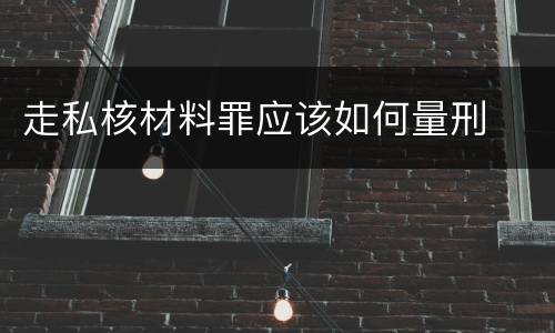 走私核材料罪应该如何量刑