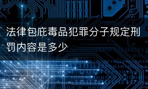法律包庇毒品犯罪分子规定刑罚内容是多少