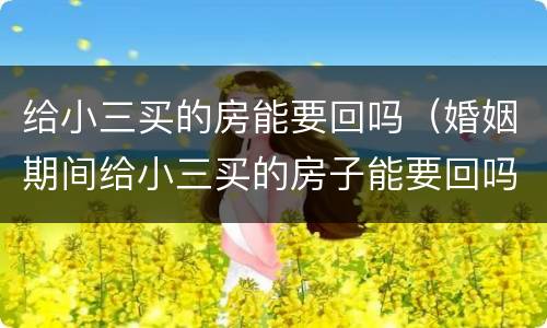 给小三买的房能要回吗(婚姻期间给小三买的房子能要回吗)