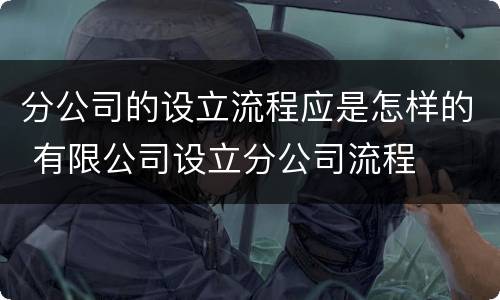 分公司的设立流程应是怎样的 有限公司设立分公司流程