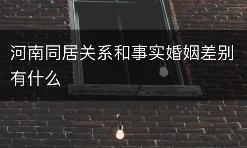 河南同居关系和事实婚姻差别有什么