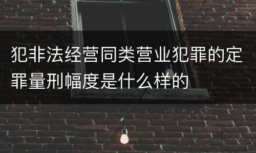 犯非法经营同类营业犯罪的定罪量刑幅度是什么样的