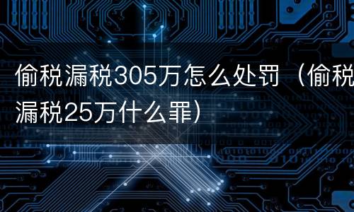 偷税漏税305万怎么处罚（偷税漏税25万什么罪）